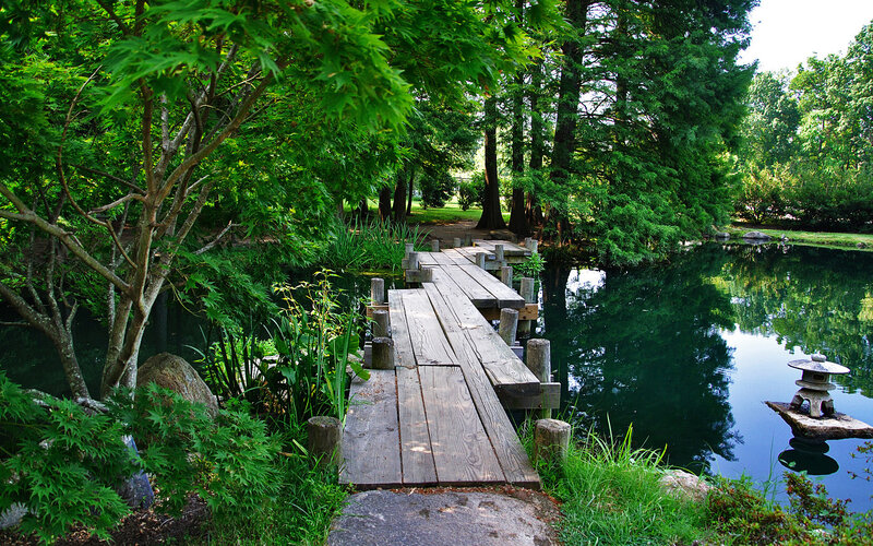 Wooden bridge over pond in garden