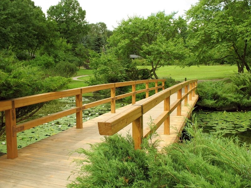 Wooden bridge over pond in garden
