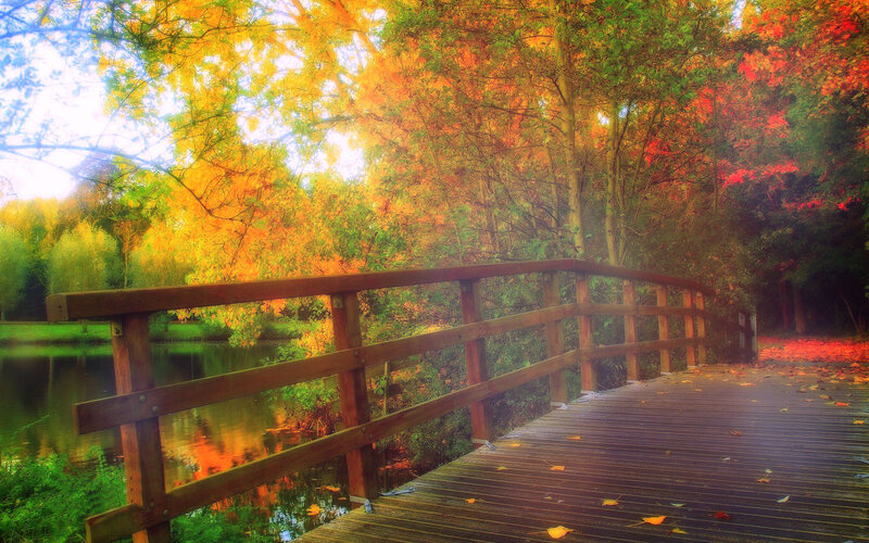 Wooden Bridge over Pond — Orange, Serene, Autumn, Photograph