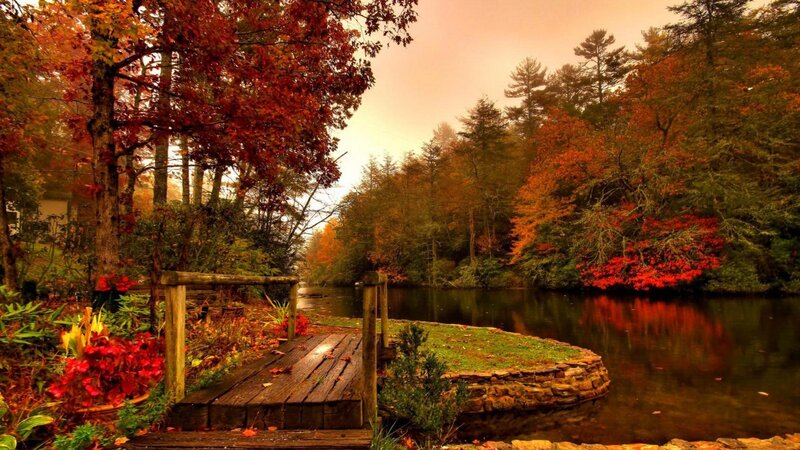 Wooden Bridge over Pond — Red, Serene