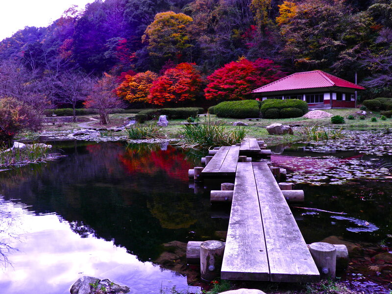 Wooden Bridge over Pond — Red