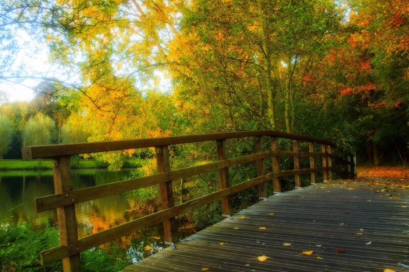 Wooden Bridge over Pond — Yellow, Serene