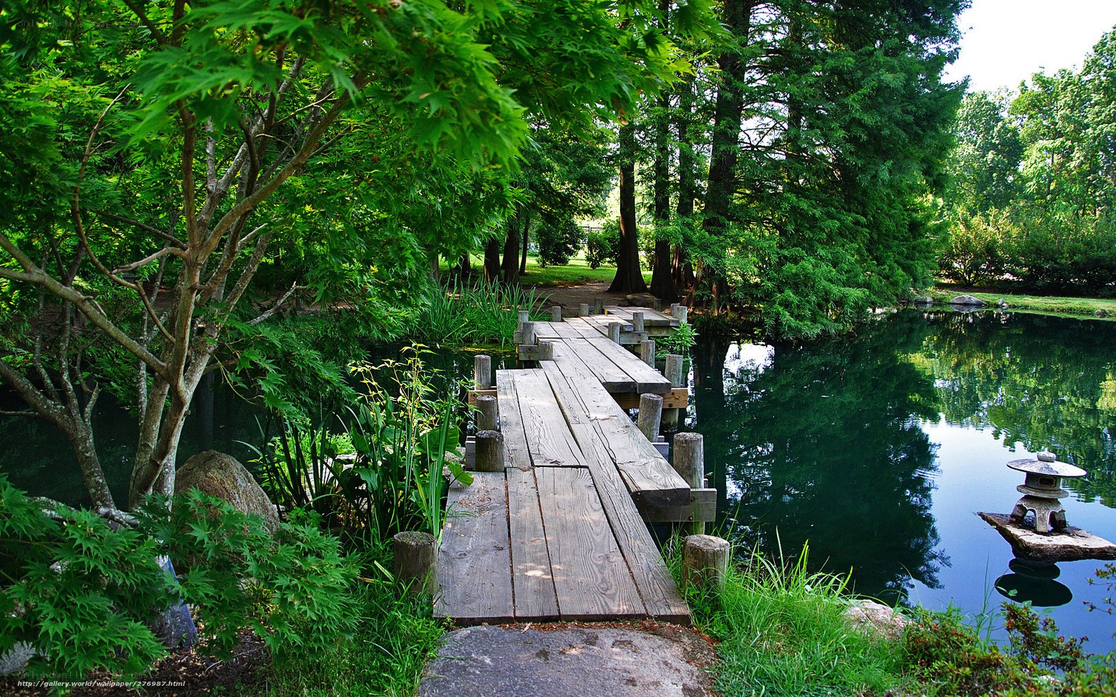 Wooden bridge over pond