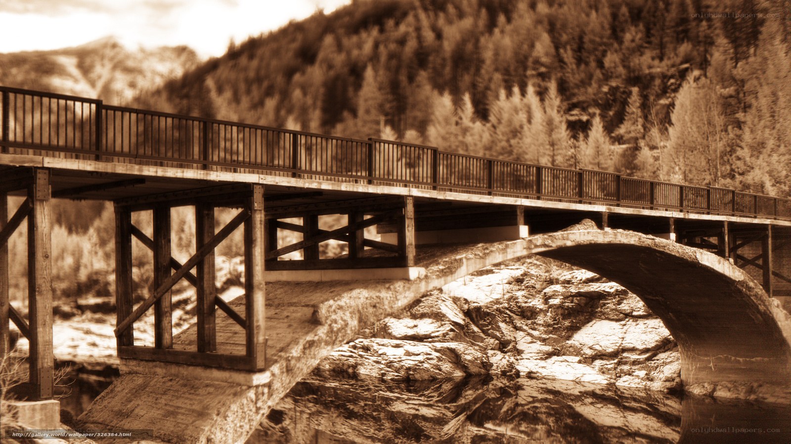 Wooden bridge over river