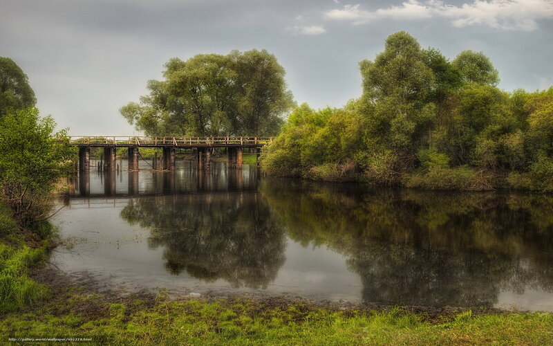 Wooden bridge over river