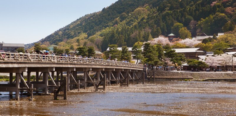 Wooden Bridge over River — Brown, Serene