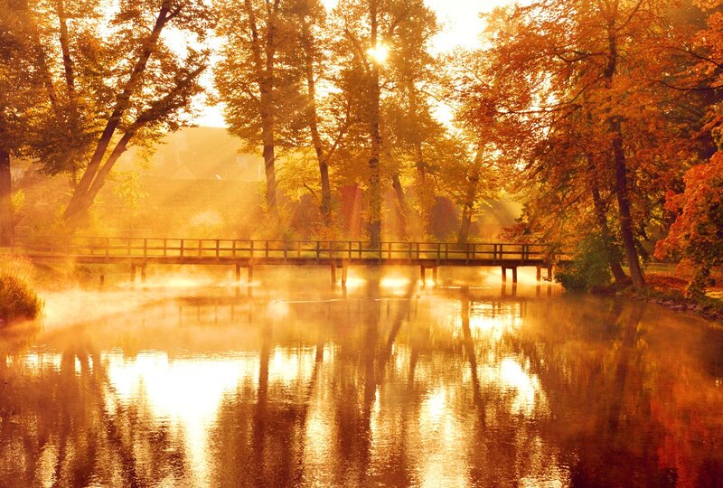 Wooden Bridge over River — Gold