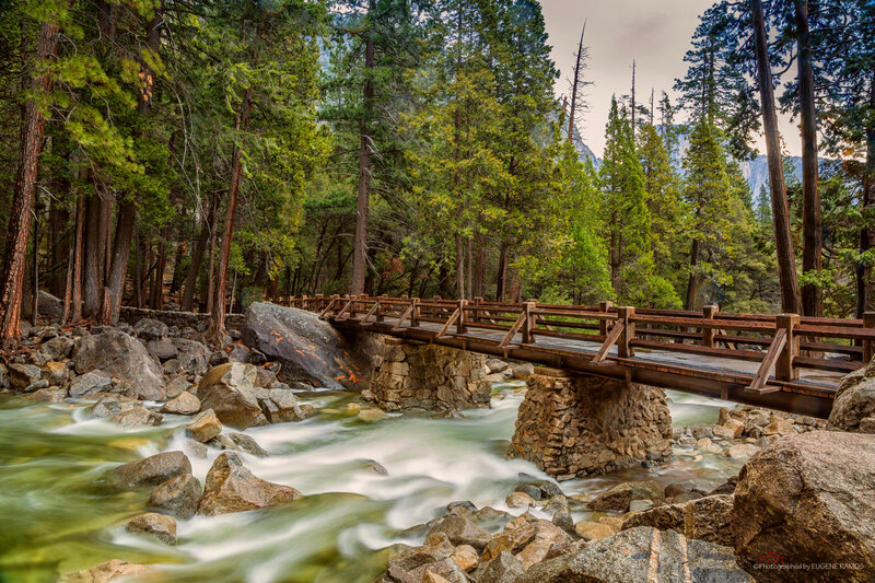 Wooden Bridge over River — Green, Serene, Afternoon, Photograph, Forest