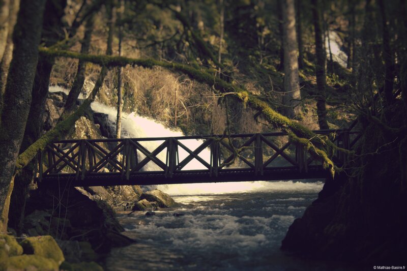 Wooden Bridge over River — Green, Serene, Afternoon, Photograph, Forest, Waterfall