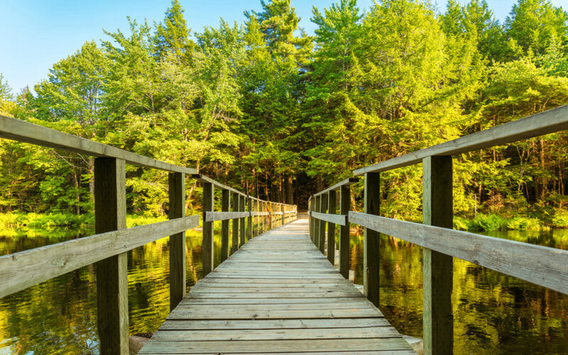 Wooden Bridge over River — Green, Serene, Afternoon, Photograph, Trees, Forest