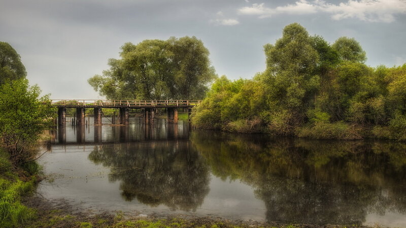 Wooden Bridge over River — Green, Serene, Afternoon, Photograph, Trees, Sky