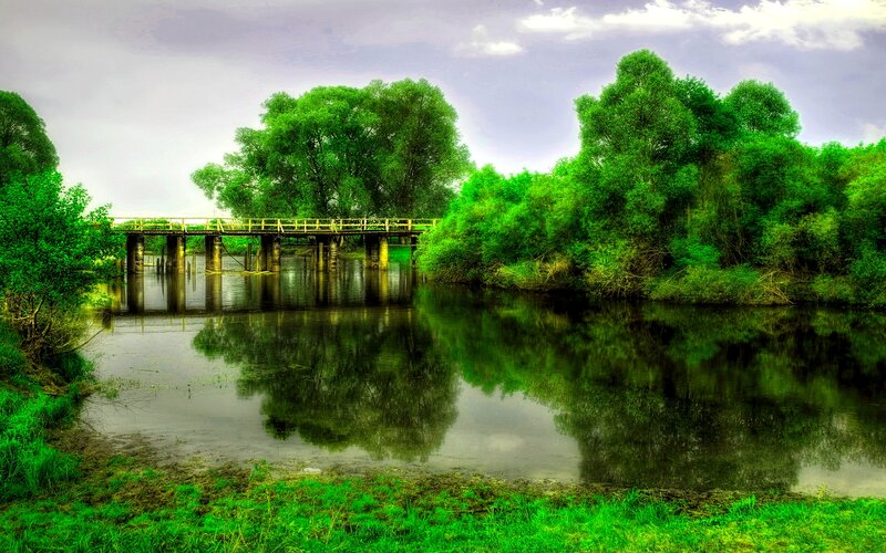 Wooden Bridge over River — Green, Serene, Afternoon, Photograph, Trees
