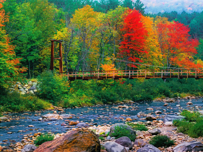Wooden Bridge over River — Green, Serene, Autumn, Photograph