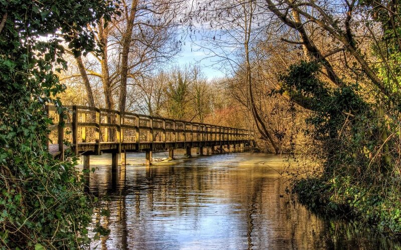 Wooden Bridge over River — Green, Serene, Autumn, Photograph, Trees, Sky