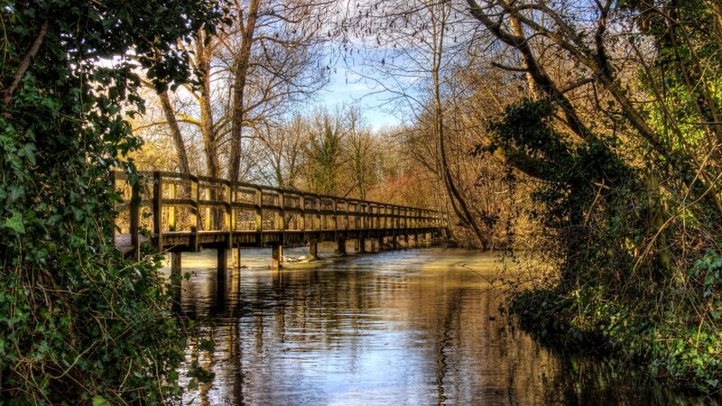 Wooden Bridge over River — Green, Serene, Autumn, Photograph, Trees