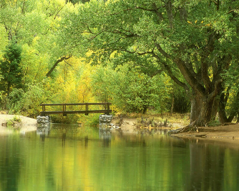 Wooden Bridge over River — Green, Serene, Autumn