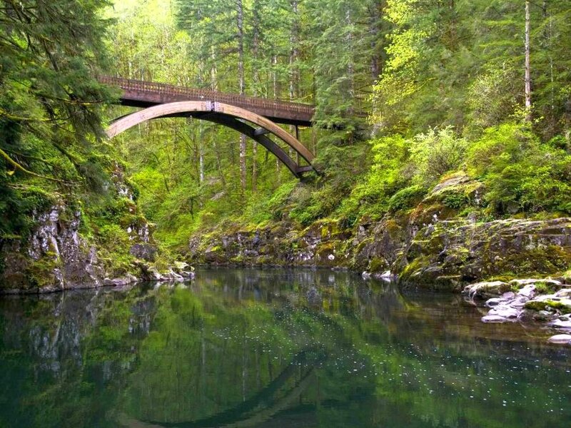 Wooden Bridge over River — Green, Serene, Spring