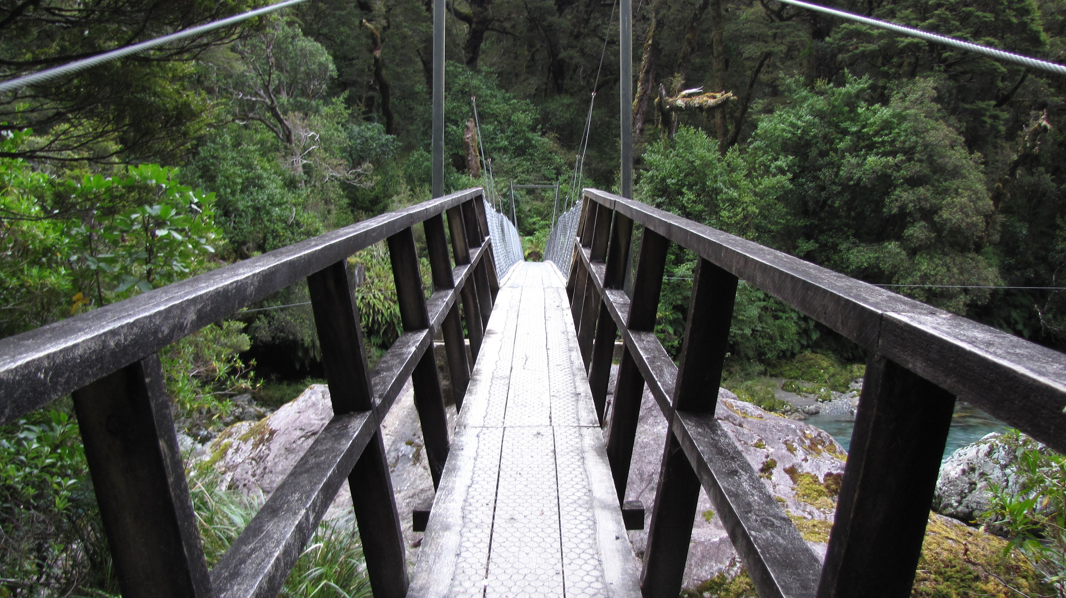 Wooden bridge over river in forest