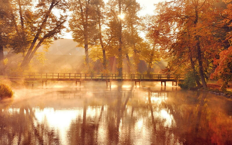 Wooden Bridge over River — Orange, Serene, Autumn