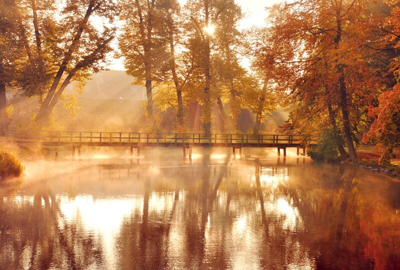 Wooden Bridge over River — Orange, Serene