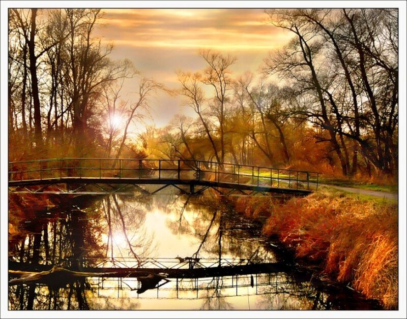 Wooden Bridge over River — Orange