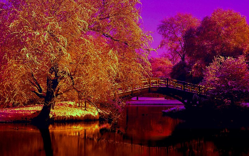 Wooden Bridge over River — Purple, Dramatic