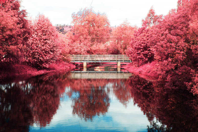 Wooden Bridge over River — Red