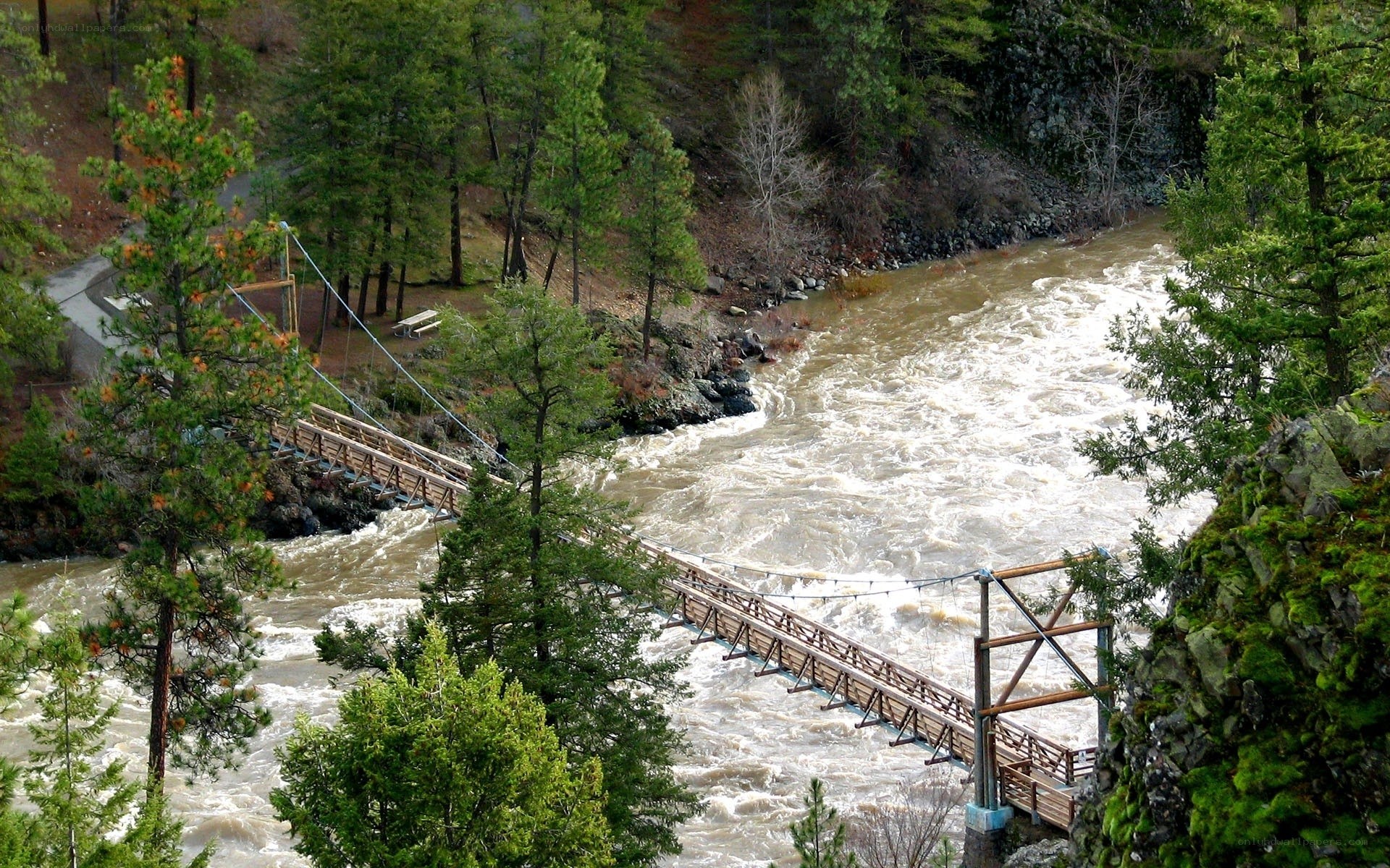 Wooden bridge over rushing river
