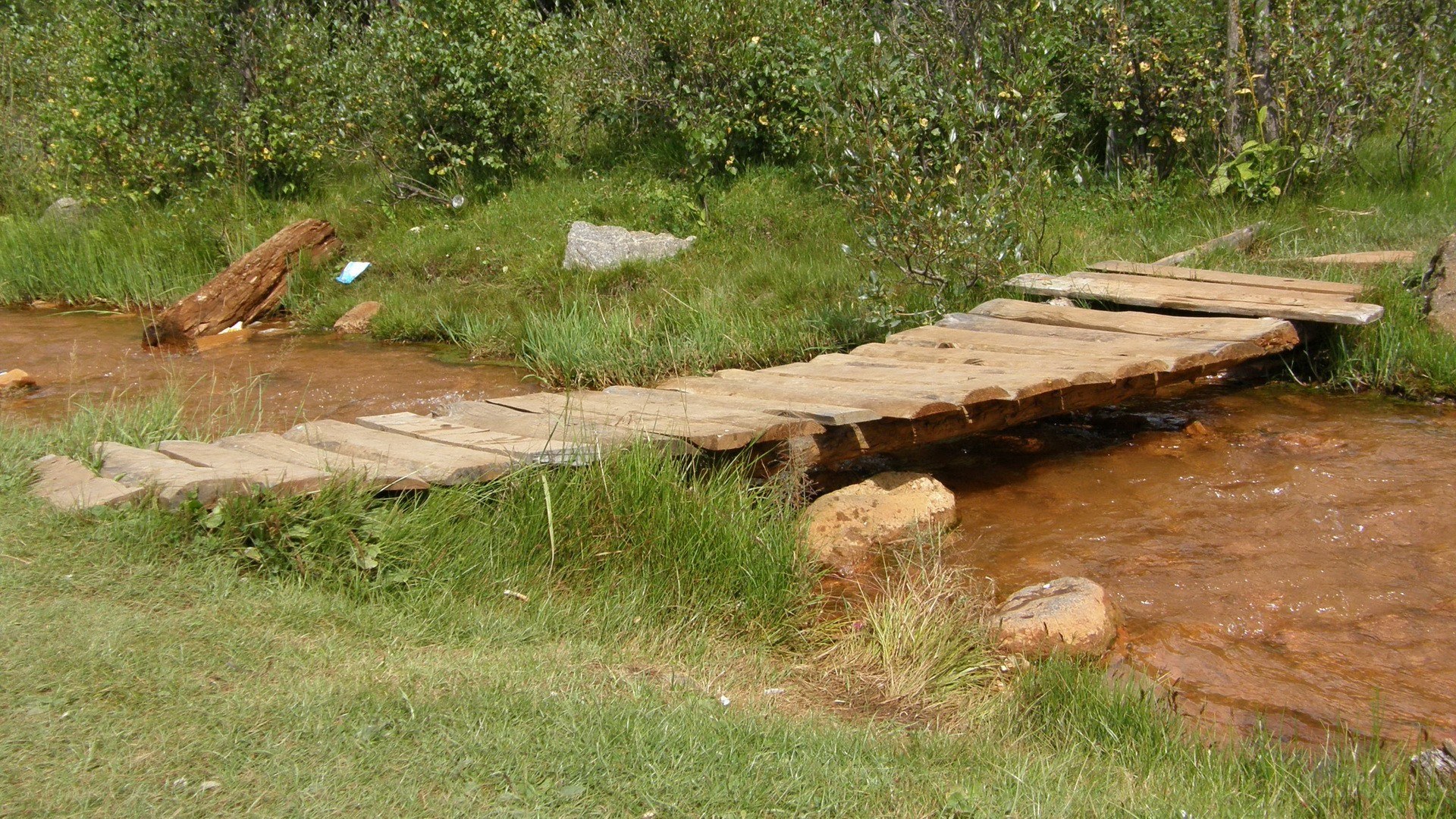 Wooden bridge over stream