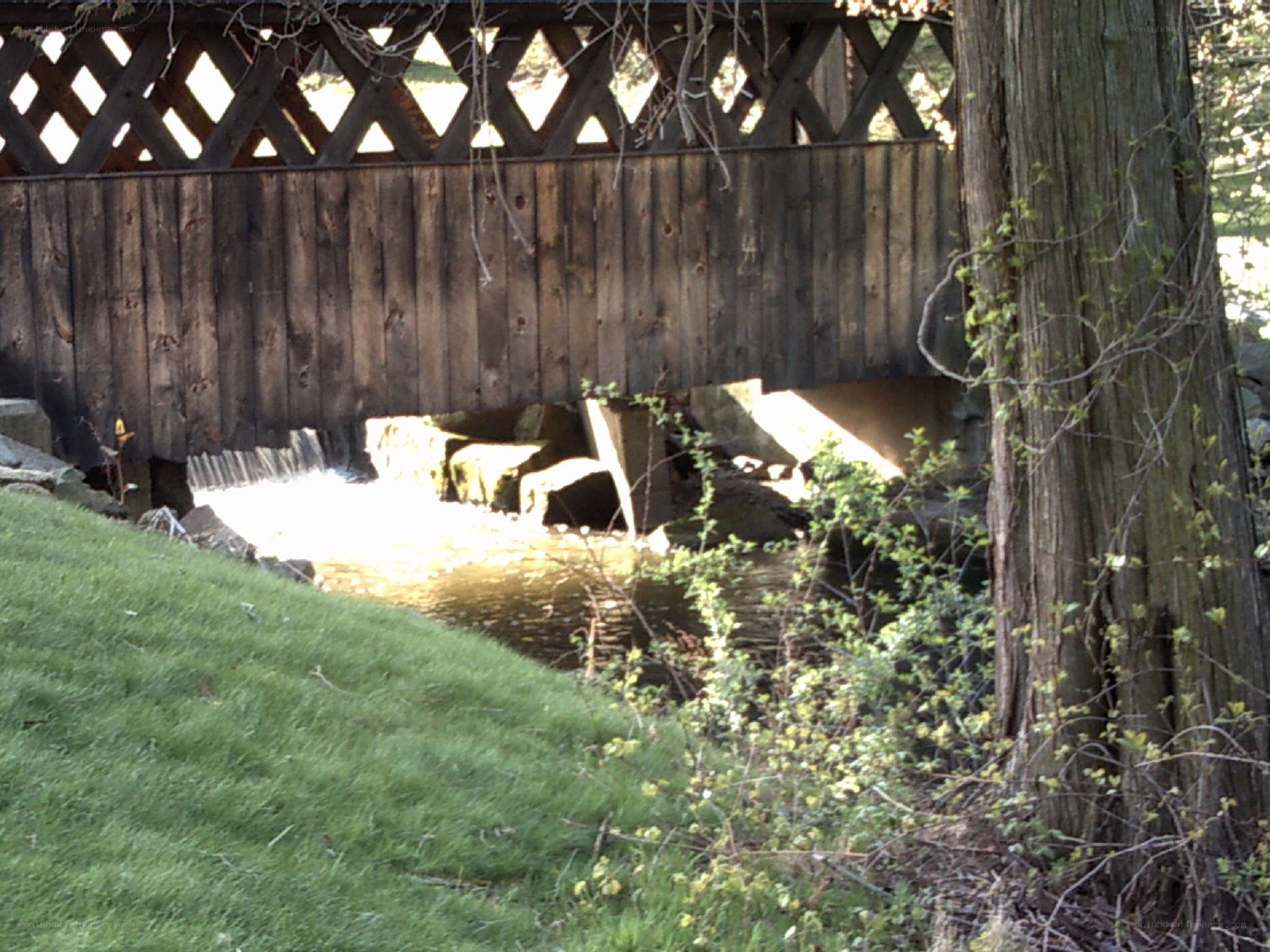 wooden bridge over stream