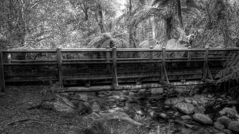 Wooden Bridge over Stream — Black, Serene