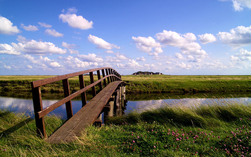 Wooden Bridge over Stream — Blue, Serene, Afternoon, Photograph, Grass