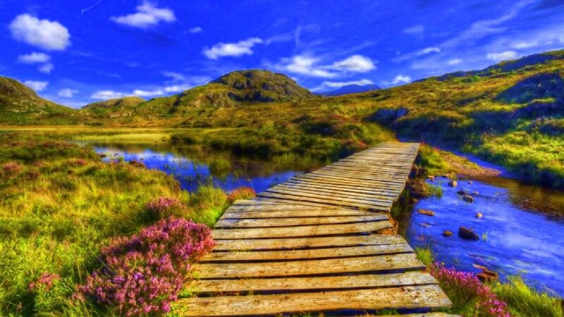 Wooden Bridge over Stream — Blue, Serene, Afternoon
