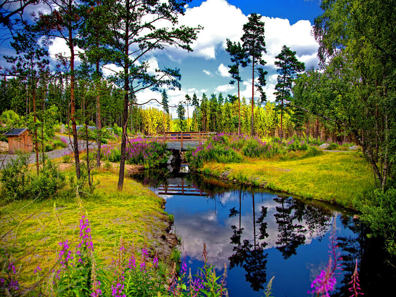 Wooden Bridge over Stream — Blue, Serene