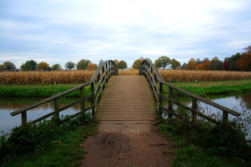 Wooden Bridge over Stream — Brown, Serene, Autumn, Photograph, Cornfield