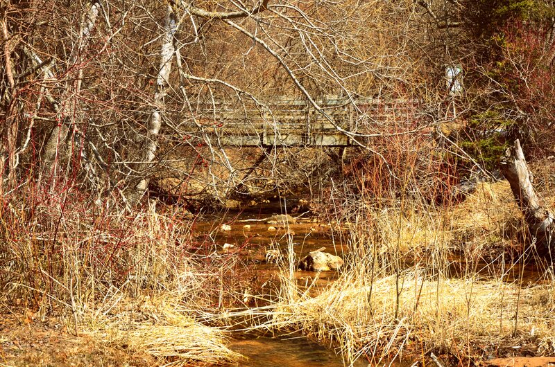 Wooden Bridge over Stream — Brown, Serene, Autumn, Photograph, Trees