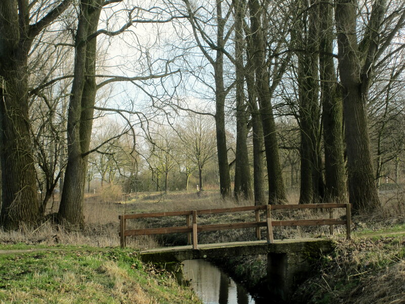 Wooden Bridge over Stream — Brown, Serene, Autumn