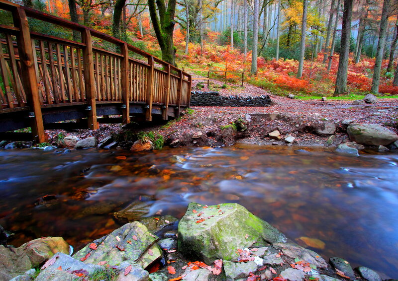 Wooden Bridge over Stream — Brown, Serene