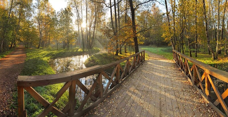 Wooden Bridge over Stream — Brown