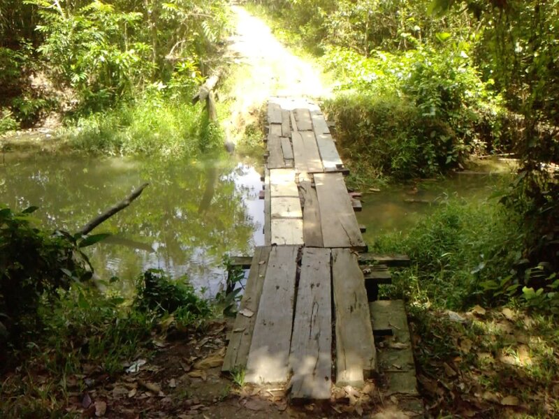Wooden Bridge over Stream — Green, Natural