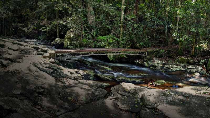 Wooden Bridge over Stream — Green, Serene, Afternoon, Photograph, Forest