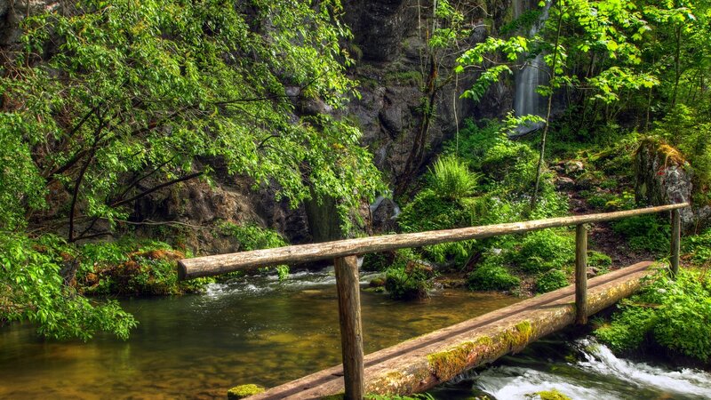 Wooden Bridge over Stream — Green, Serene, Afternoon, Photograph, Forest, Waterfall