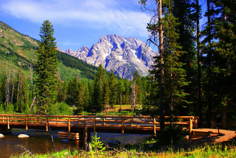 Wooden Bridge over Stream — Green, Serene, Afternoon, Photograph, Mountain, Forest