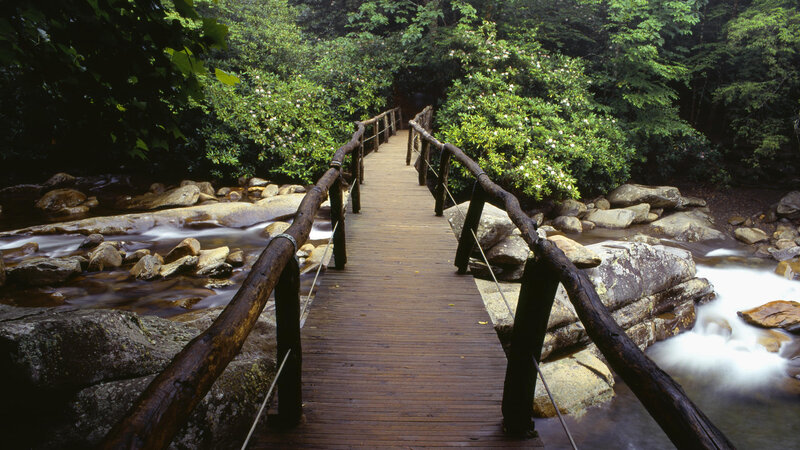 Wooden Bridge over Stream — Green, Serene, Afternoon, Photograph, Rocks
