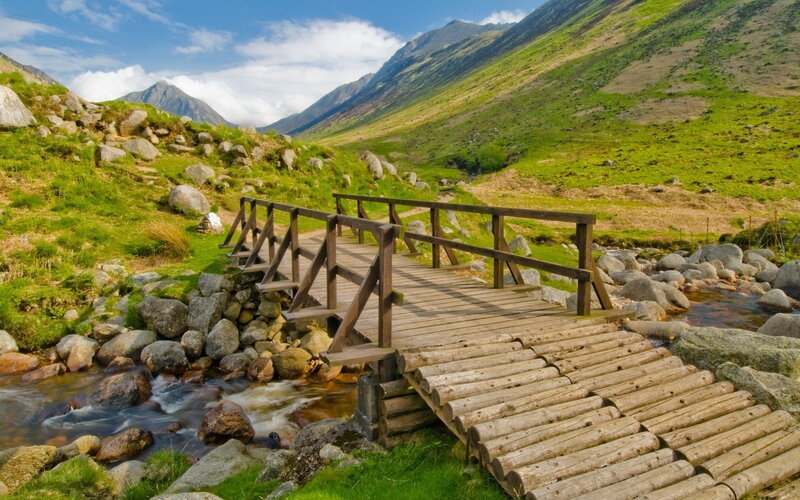 Wooden Bridge over Stream — Green, Serene, Afternoon, Photograph