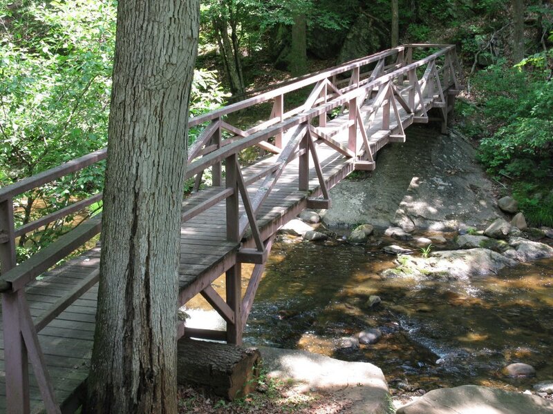 Wooden Bridge over Stream — Green, Serene, Afternoon, Photograph, Tree