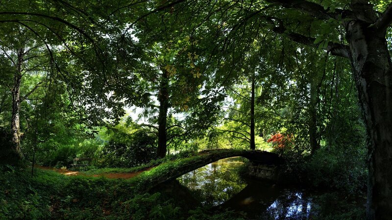 Wooden Bridge over Stream — Green, Serene, Afternoon, Photograph, Trees, Bench