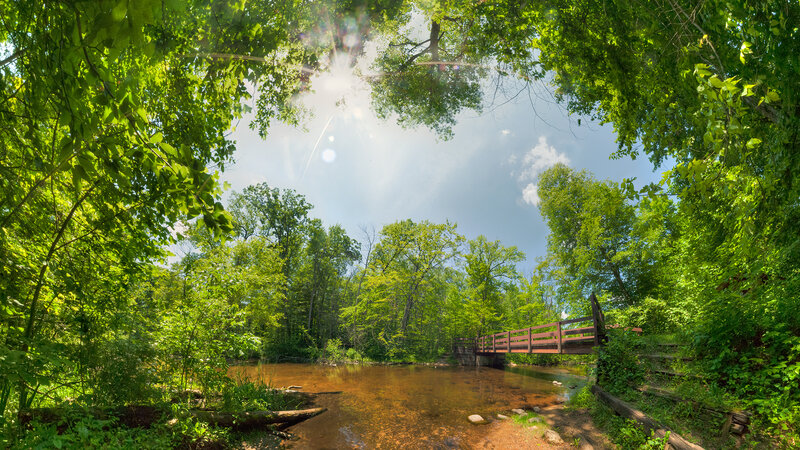 Wooden Bridge over Stream — Green, Serene, Afternoon, Photograph, Trees, Sunlight
