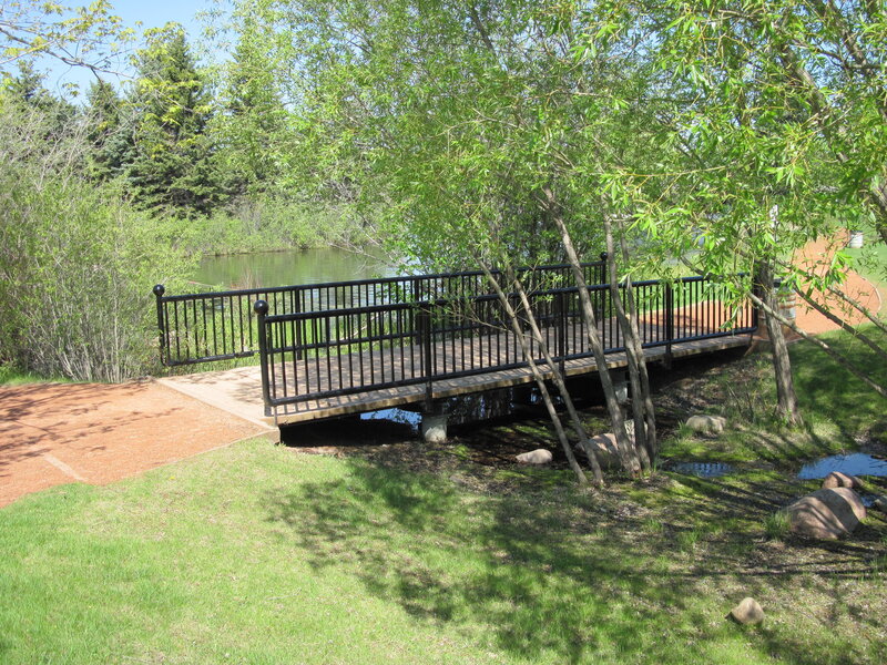 Wooden Bridge over Stream — Green, Serene, Afternoon, Photograph, Trees