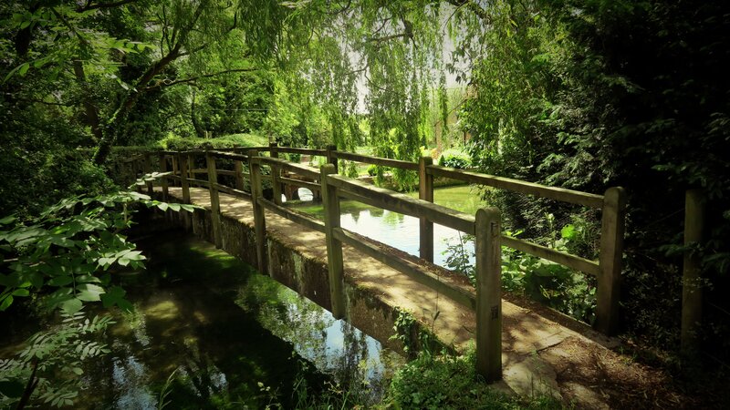 Wooden Bridge over Stream — Green, Serene, Afternoon, Photograph, Trees, Weeping Willow
